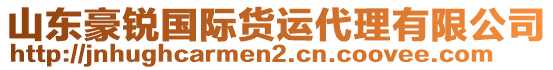 山東豪銳國際貨運代理有限公司