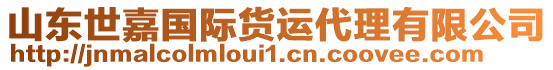 山東世嘉國際貨運代理有限公司