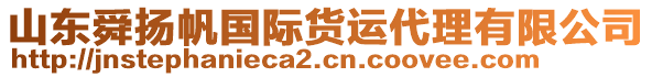 山東舜揚帆國際貨運代理有限公司