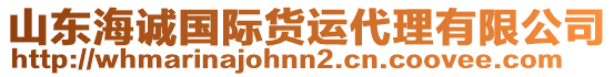 山東海誠(chéng)國(guó)際貨運(yùn)代理有限公司