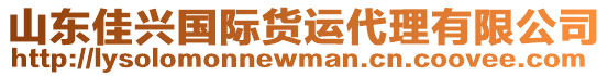 山東佳興國(guó)際貨運(yùn)代理有限公司