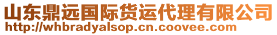 山東鼎遠(yuǎn)國(guó)際貨運(yùn)代理有限公司