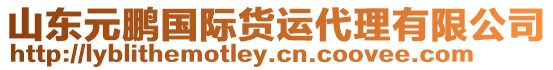 山東元鵬國(guó)際貨運(yùn)代理有限公司