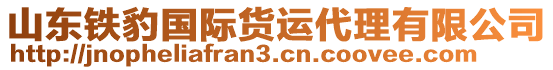 山東鐵豹國際貨運(yùn)代理有限公司