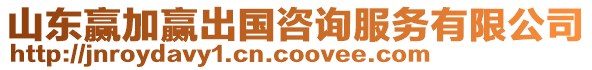 山東贏加贏出國咨詢服務(wù)有限公司