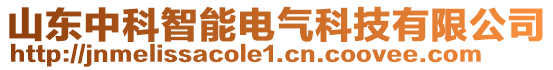 山東中科智能電氣科技有限公司