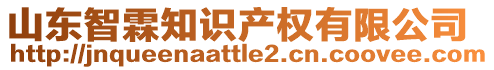 山東智霖知識產(chǎn)權(quán)有限公司