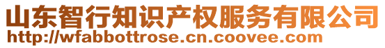 山東智行知識(shí)產(chǎn)權(quán)服務(wù)有限公司