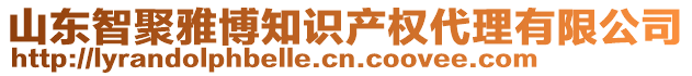 山東智聚雅博知識產權代理有限公司