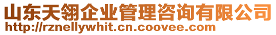 山東天翎企業管理咨詢有限公司