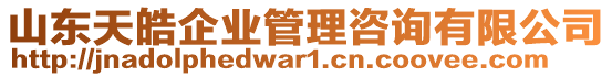 山東天皓企業(yè)管理咨詢(xún)有限公司