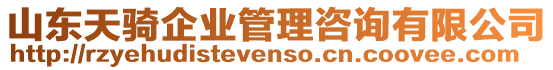 山東天騎企業(yè)管理咨詢有限公司