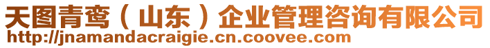 天圖青鸞(山東)企業管理咨詢有限公司