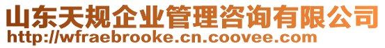 山東天規企業管理咨詢有限公司