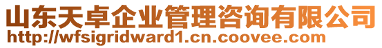 山東天卓企業(yè)管理咨詢有限公司