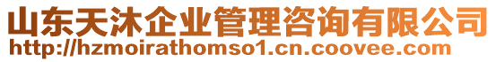 山東天沐企業(yè)管理咨詢有限公司