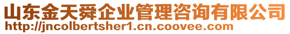 山東金天舜企業(yè)管理咨詢有限公司