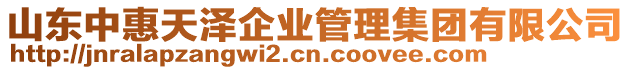 山東中惠天澤企業管理集團有限公司