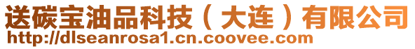 送碳寶油品科技（大連）有限公司