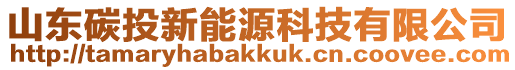 山東碳投新能源科技有限公司