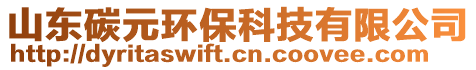 山東碳元環(huán)保科技有限公司