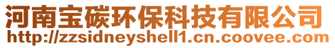河南寶碳環(huán)保科技有限公司