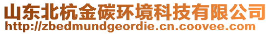 山東北杭金碳環(huán)境科技有限公司