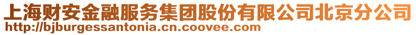 上海財安金融服務集團股份有限公司北京分公司