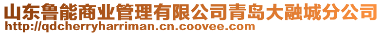 山東魯能商業(yè)管理有限公司青島大融城分公司