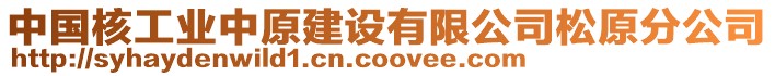 中國(guó)核工業(yè)中原建設(shè)有限公司松原分公司