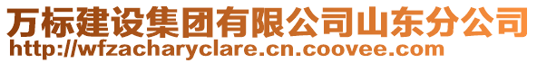 萬(wàn)標(biāo)建設(shè)集團(tuán)有限公司山東分公司