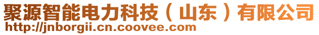 聚源智能電力科技（山東）有限公司