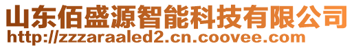 山東佰盛源智能科技有限公司