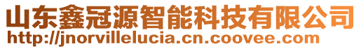 山東鑫冠源智能科技有限公司