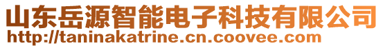 山東岳源智能電子科技有限公司