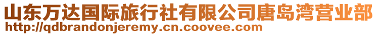 山東萬達(dá)國際旅行社有限公司唐島灣營業(yè)部