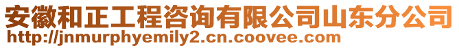 安徽和正工程咨詢有限公司山東分公司