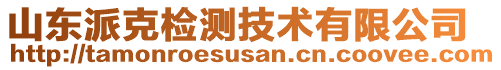 山東派克檢測技術有限公司