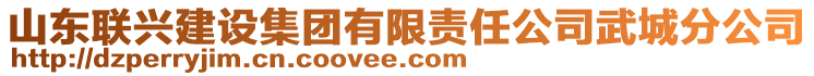 山東聯(lián)興建設(shè)集團(tuán)有限責(zé)任公司武城分公司