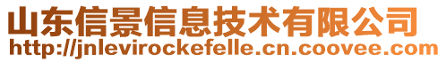 山東信景信息技術(shù)有限公司