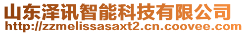 山東澤訊智能科技有限公司