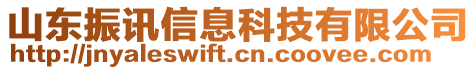 山东振讯信息科技有限公司