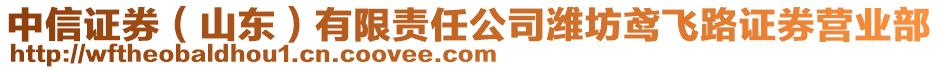 中信證券(山東)有限責任公司濰坊鳶飛路證券營業部