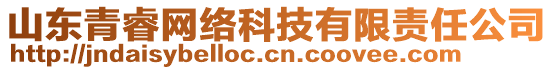 山東青睿網絡科技有限責任公司