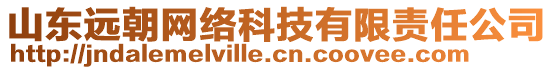 山東遠(yuǎn)朝網(wǎng)絡(luò)科技有限責(zé)任公司