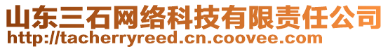 山東三石網(wǎng)絡(luò)科技有限責(zé)任公司