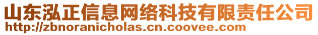 山東泓正信息網(wǎng)絡(luò)科技有限責(zé)任公司