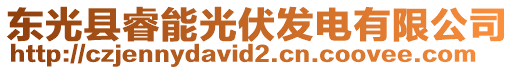 東光縣睿能光伏發(fā)電有限公司