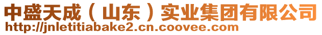 中盛天成（山東）實(shí)業(yè)集團(tuán)有限公司