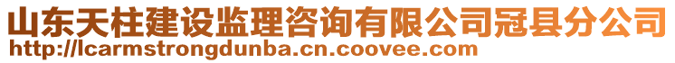 山東天柱建設(shè)監(jiān)理咨詢有限公司冠縣分公司